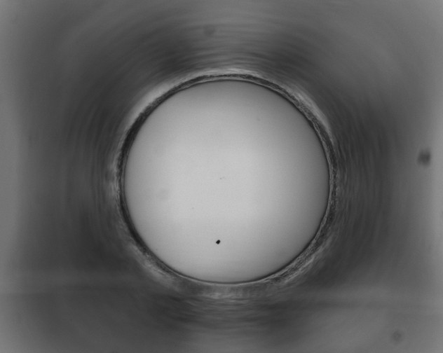 X0000102460789200808080943