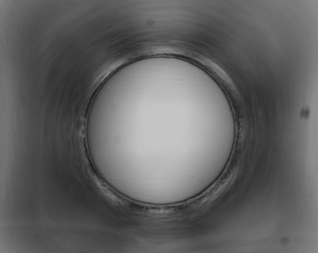 X0000102460793200808080943