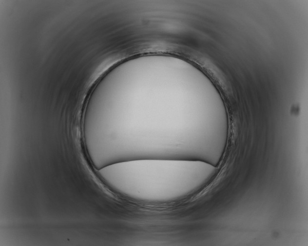 X0000102460794200808080943
