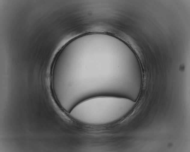 X0000102460795200808080943