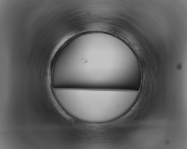 X0000102460796200808080943