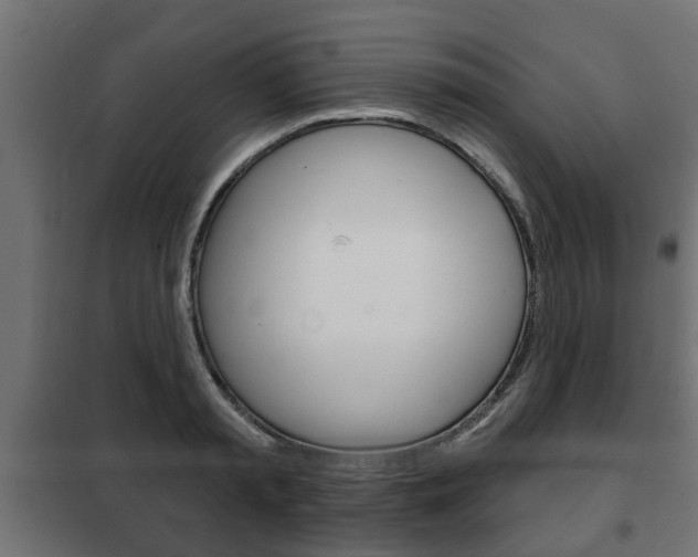 X0000102460797200808080943