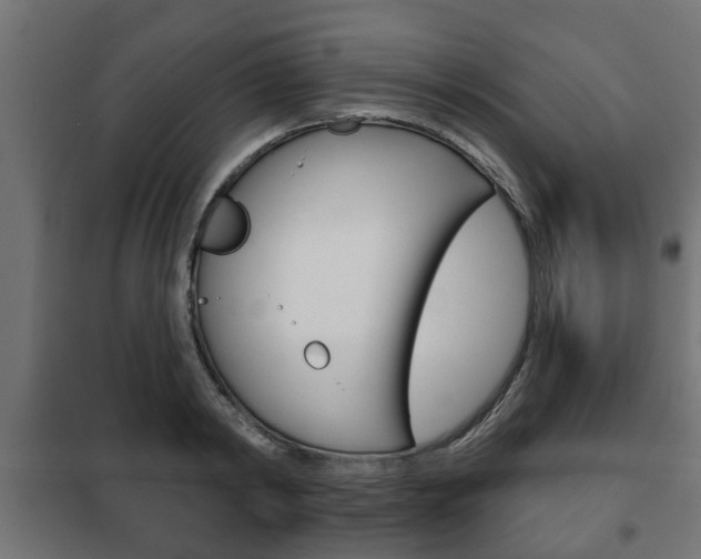 X0000102460798200808080943