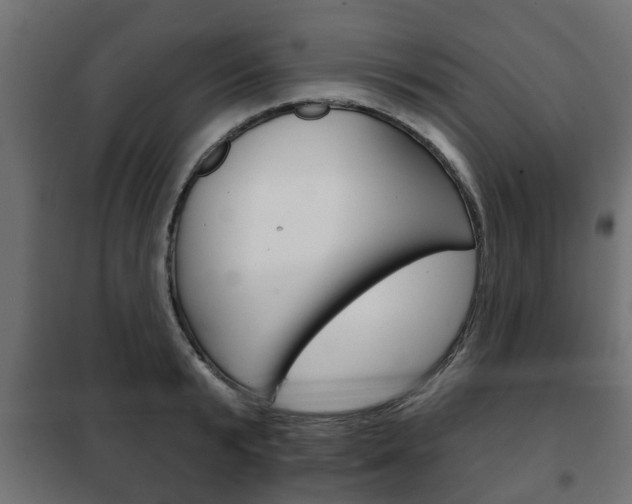 X0000102460799200808080943