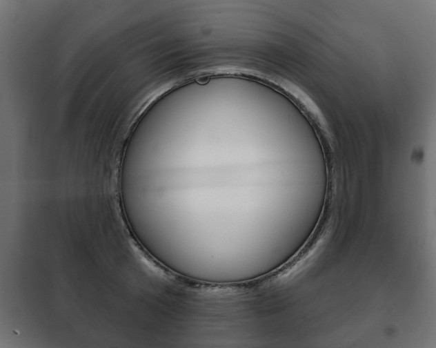 X0000102460801200808080943