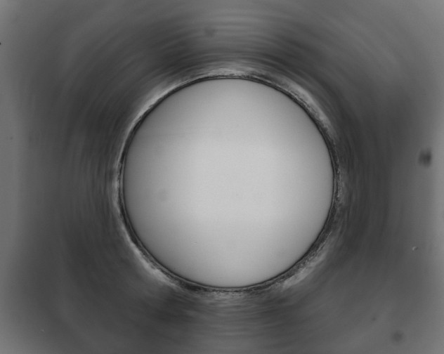 X0000102460802200808080943