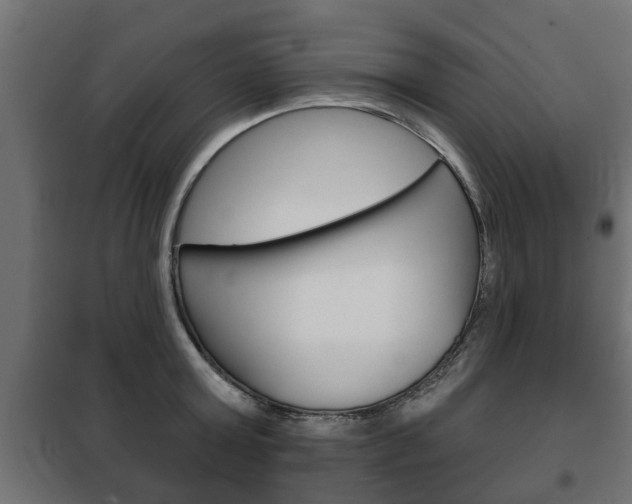 X0000102460803200808080943