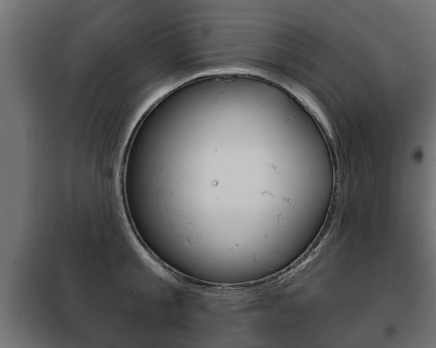 X0000102460805200808080943