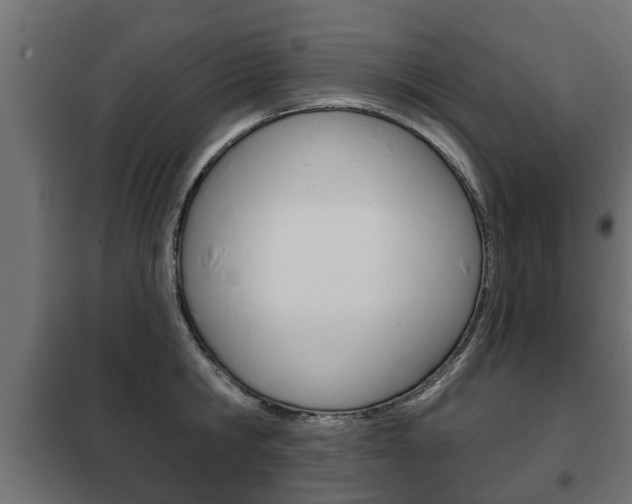 X0000102460806200808080943