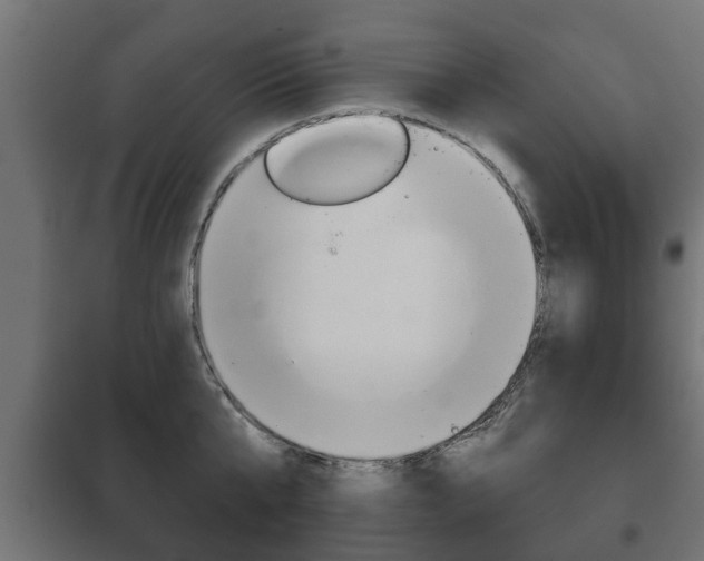 X0000102460807200808080943