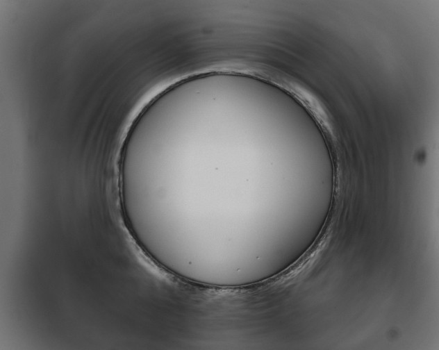 X0000102460808200808080943