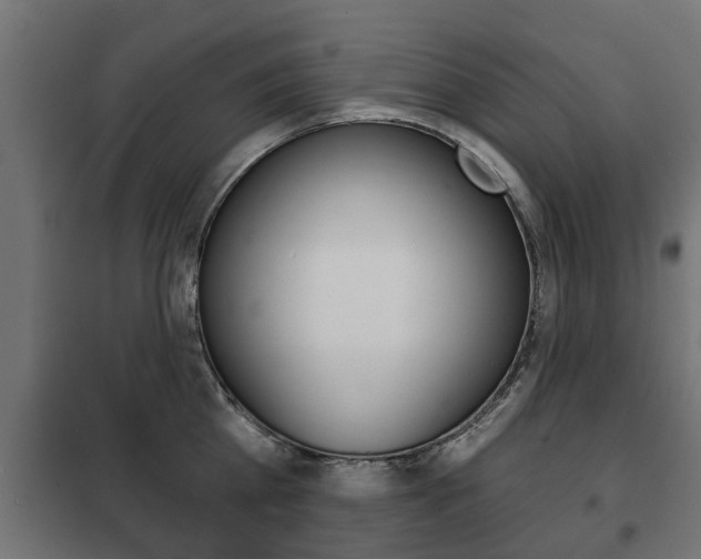 X0000102460809200808080943
