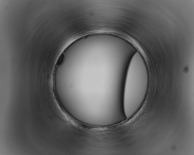 X0000102460810200808080943