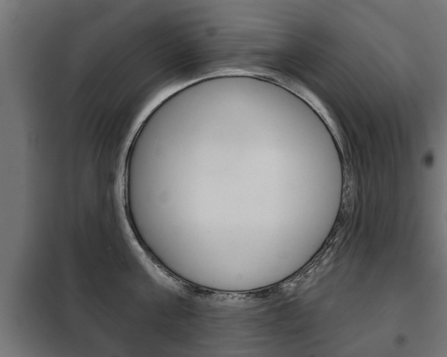 X0000102460811200808080943