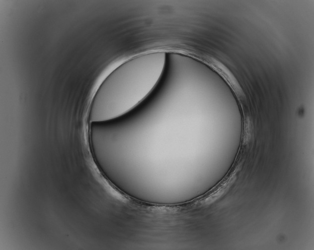 X0000102460812200808080943