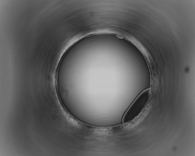 X0000102460813200808080943