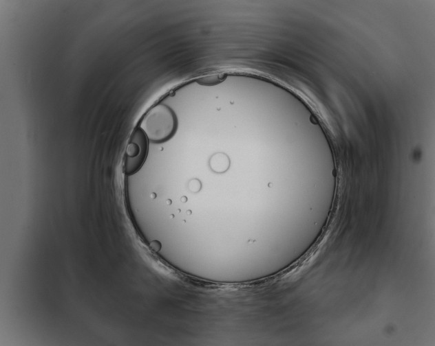 X0000102460814200808080943