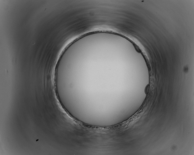 X0000102460815200808080943