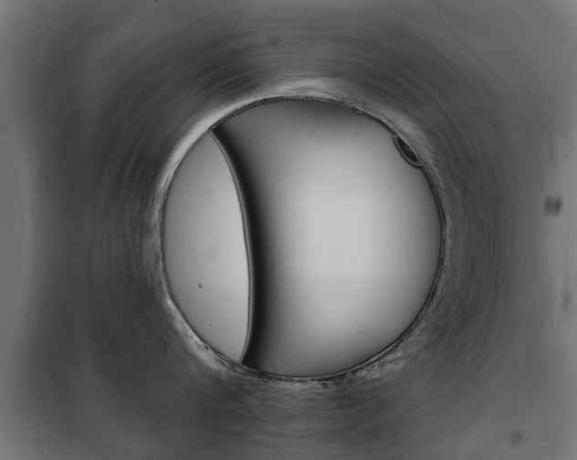 X0000102460816200808080943