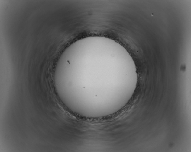 X0000102460817200808080942