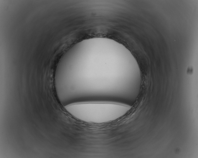 X0000102460818200808080942