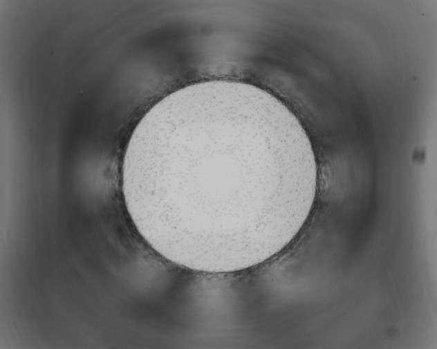 X0000102460820200808080942