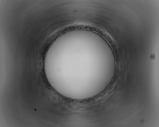 X0000102460821200808080942