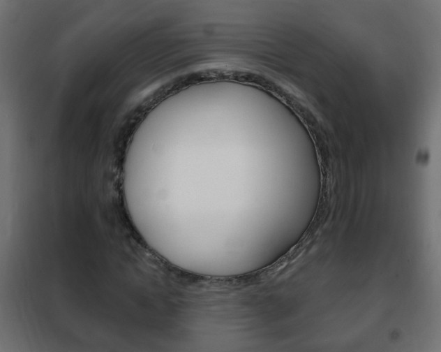 X0000102460822200808080942