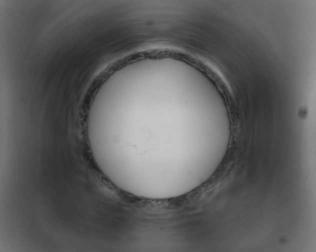 X0000102460823200808080942