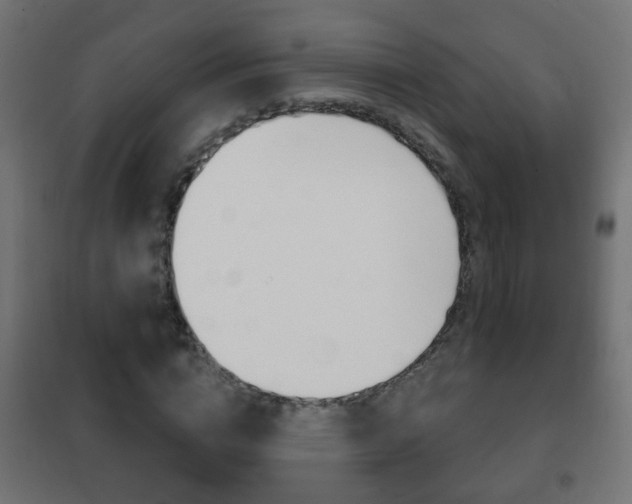 X0000102460824200808080942