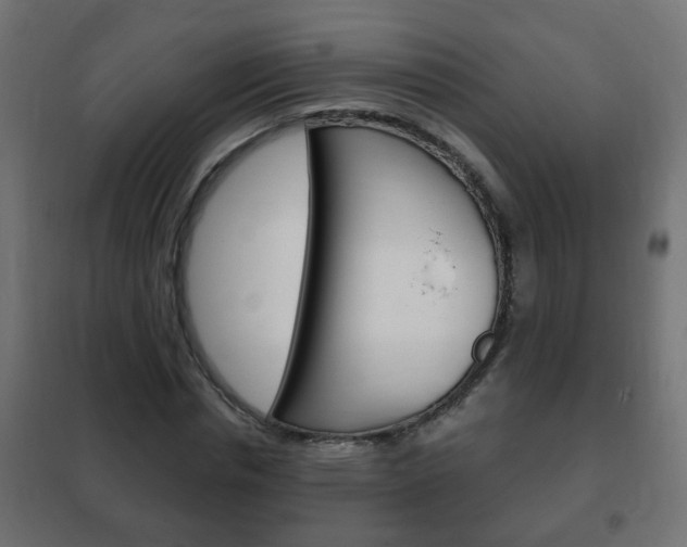 X0000102460826200808080942