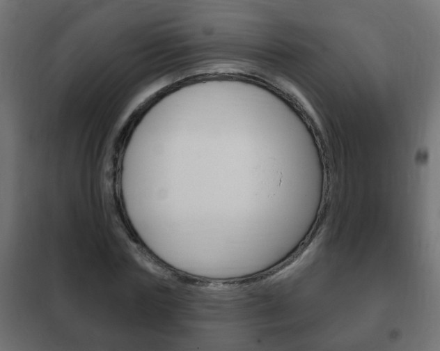X0000102460827200808080942