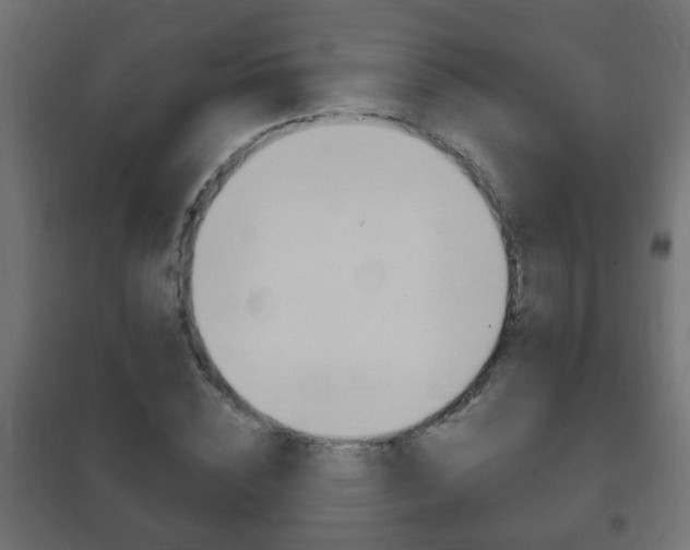 X0000102460828200808080942