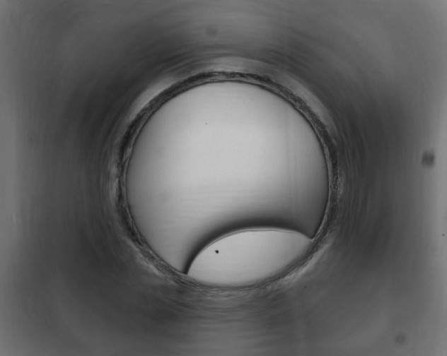 X0000102460829200808080942