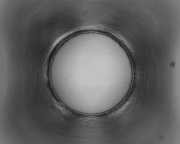 X0000102460830200808080942