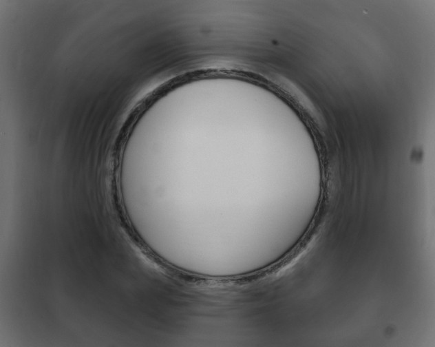X0000102460831200808080942