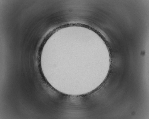 X0000102460832200808080942