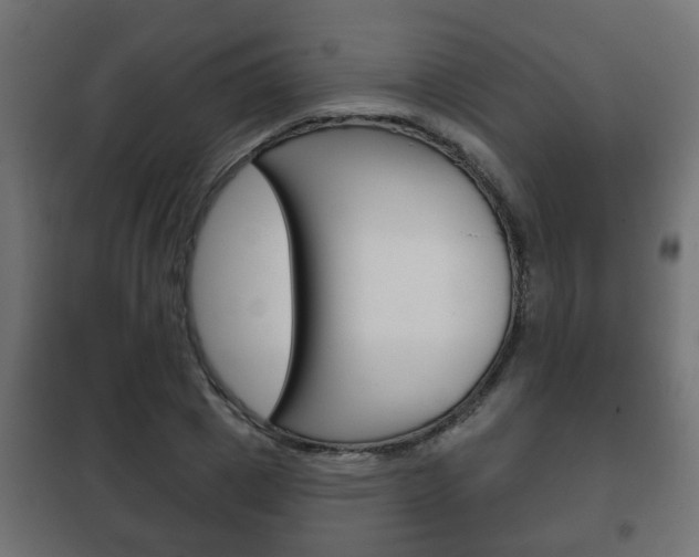 X0000102460833200808080942