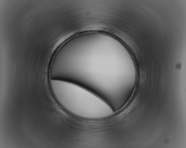 X0000102460834200808080942