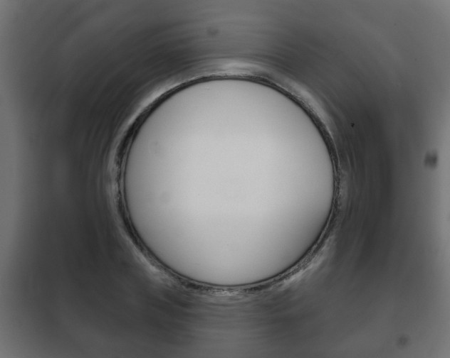 X0000102460835200808080942