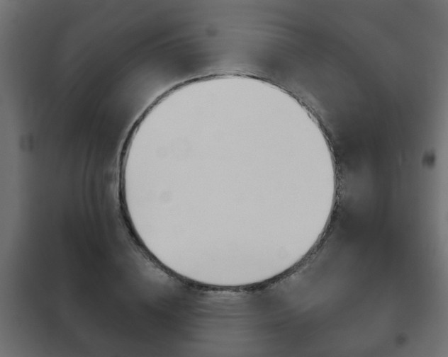 X0000102460836200808080942