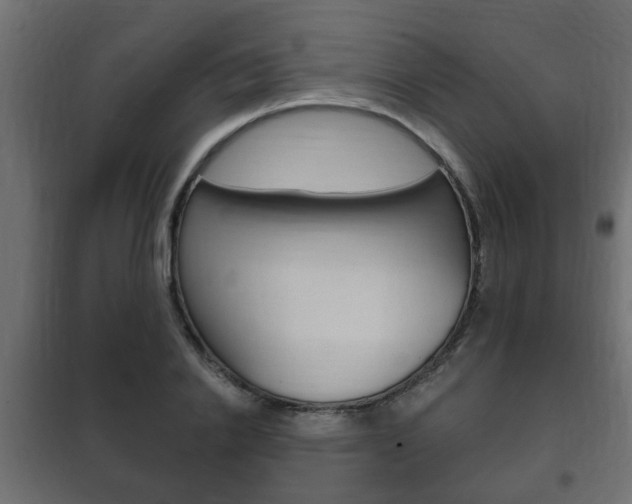 X0000102460838200808080942