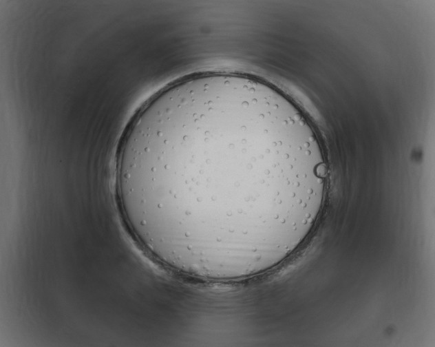 X0000102460839200808080942