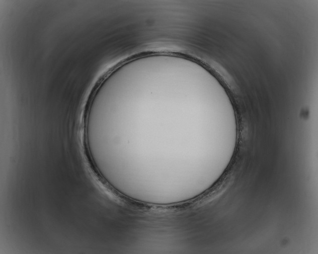 X0000102460840200808080942