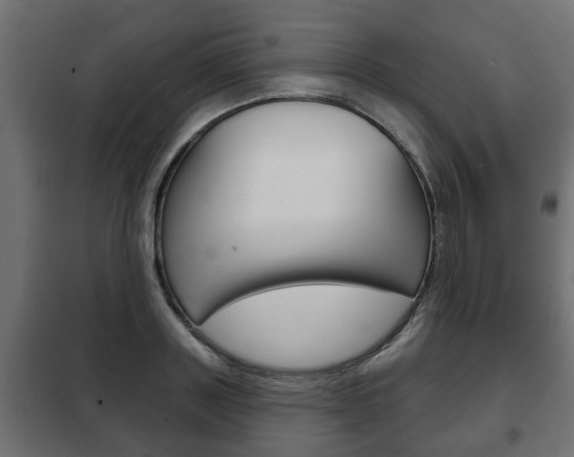 X0000102460843200808080942