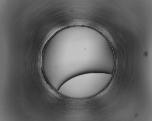 X0000102460844200808080943