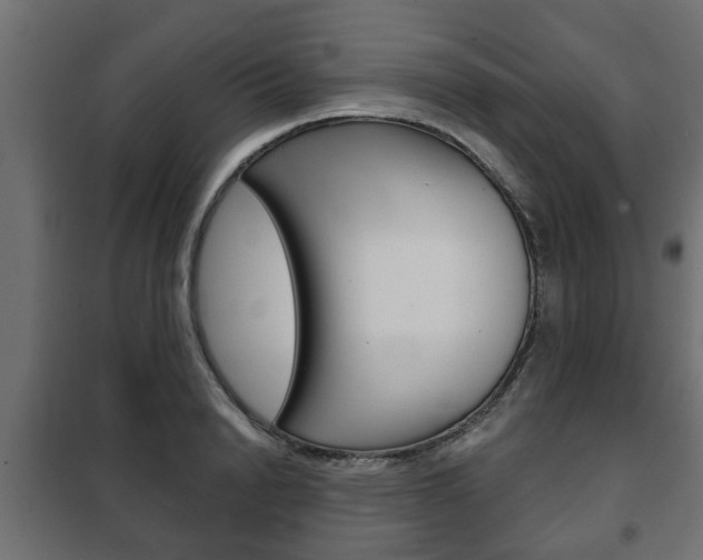 X0000102460846200808080943