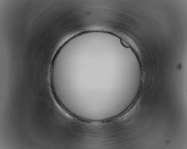 X0000102460847200808080943
