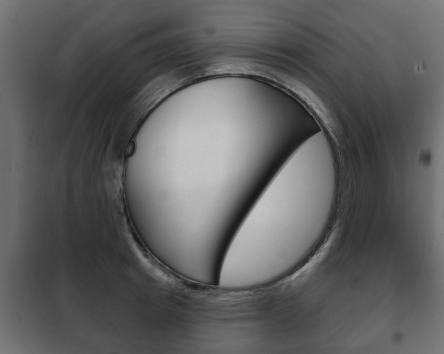 X0000102460849200808080943