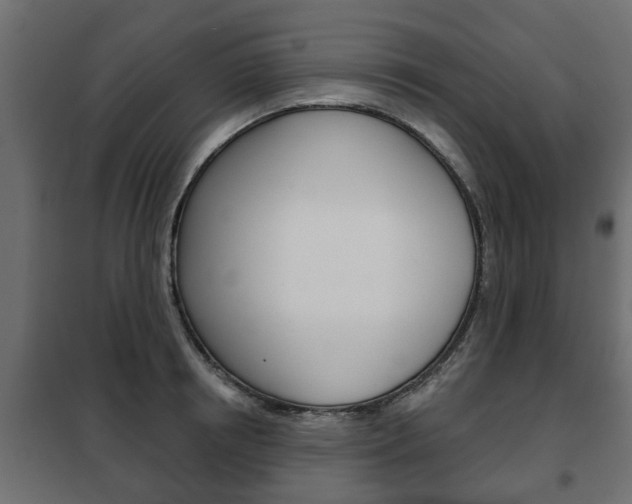 X0000102460850200808080943